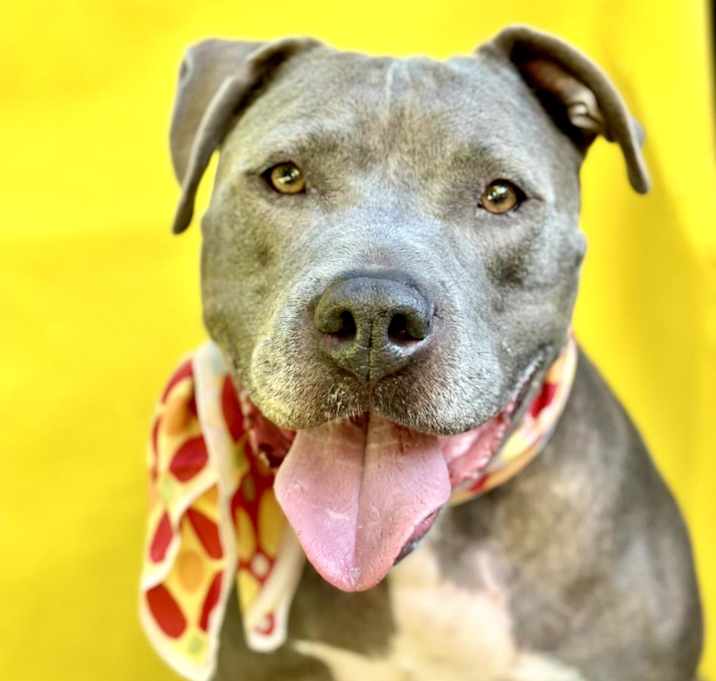 Photo of BLUE