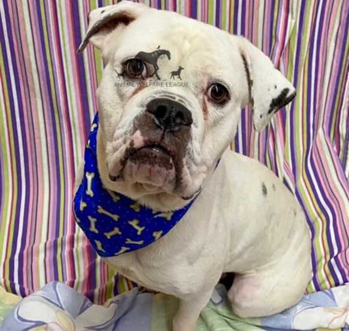 Photo of SAMPSON