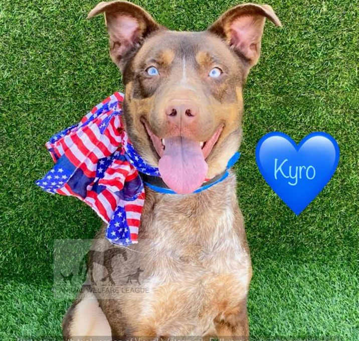 Photo of KYRO