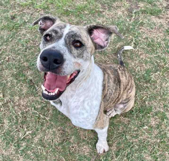 Photo of SOPHIE