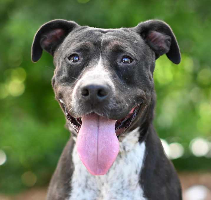 Photo of SAMANTHA