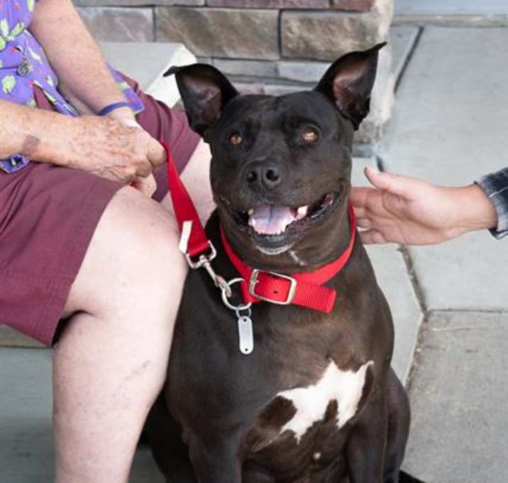 Photo of NONA