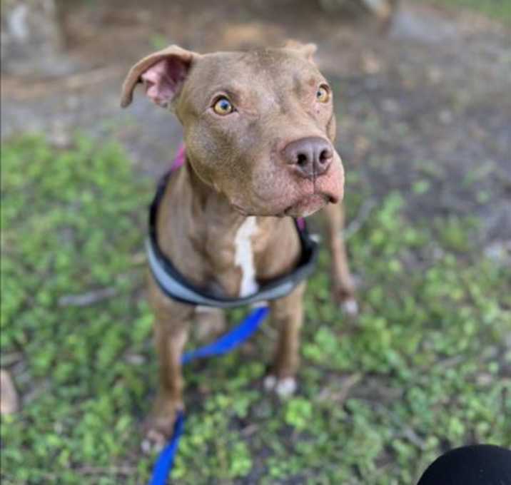 Photo of GATSBY