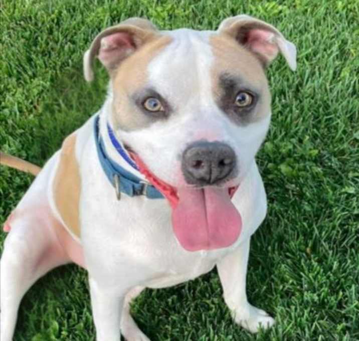 Photo of CLYDE