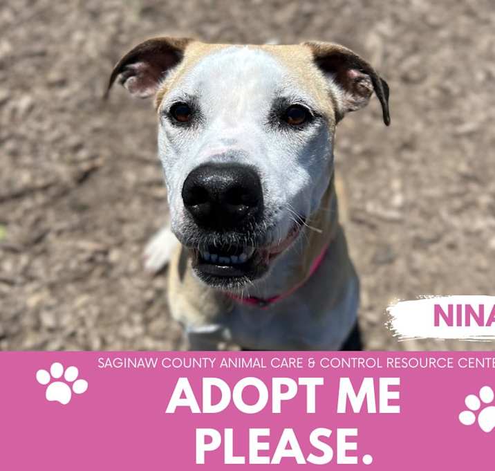Photo of NINA