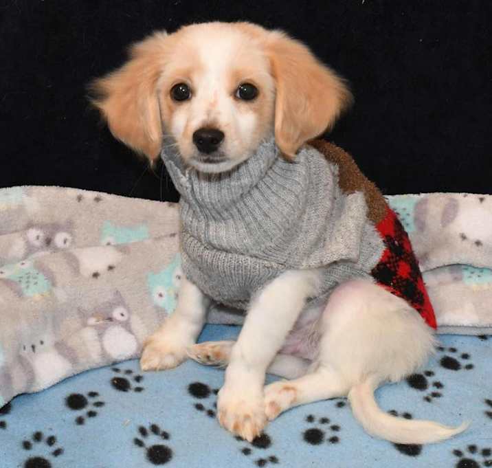 Photo of Murphy