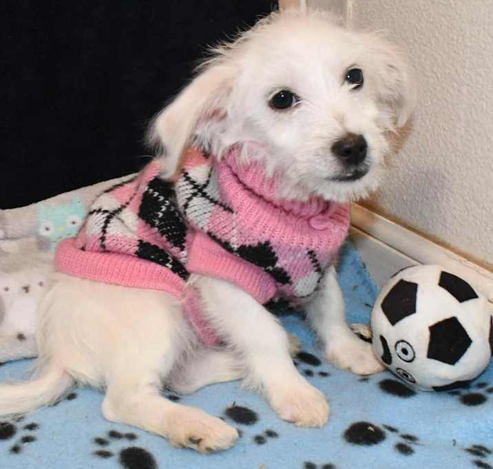 Photo of Molly