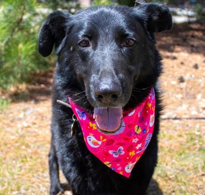 Photo of Ava Marie