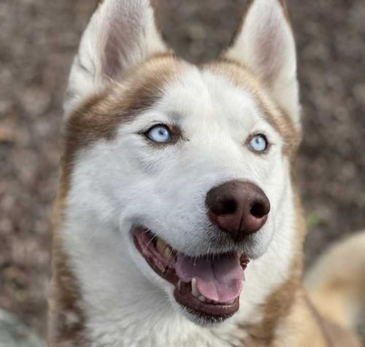 Photo of Rudy
