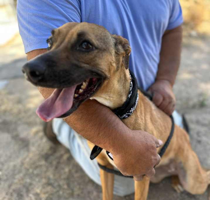 Photo of SHEENA