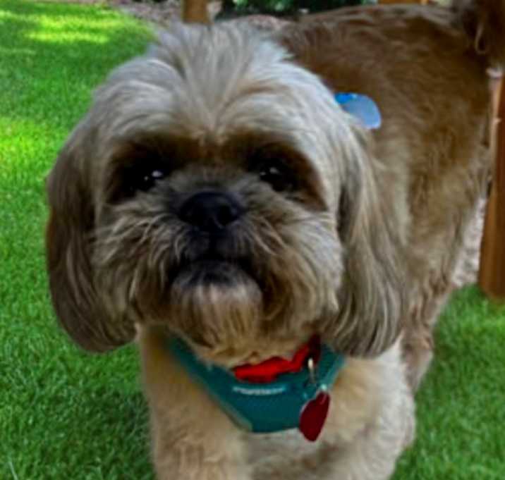 Photo of Chuck