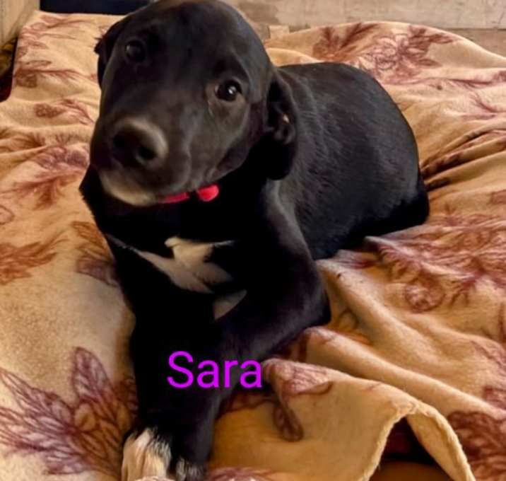 Photo of Sara