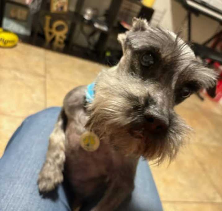 Photo of Charlie