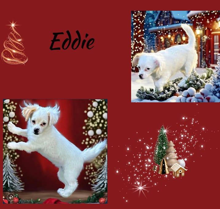 Photo of Eddie