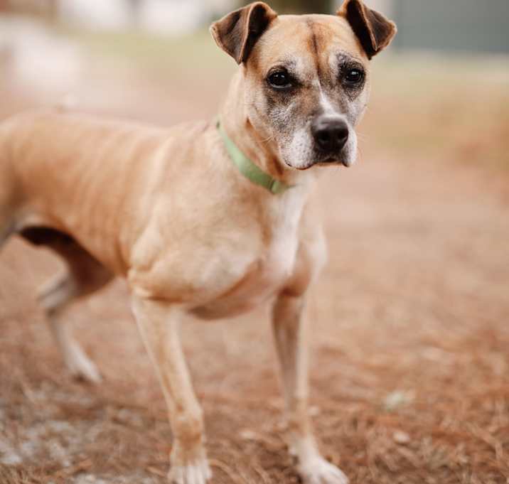 Photo of Lucy