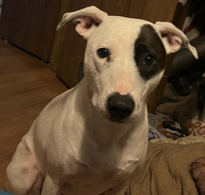 Photo of Maggie