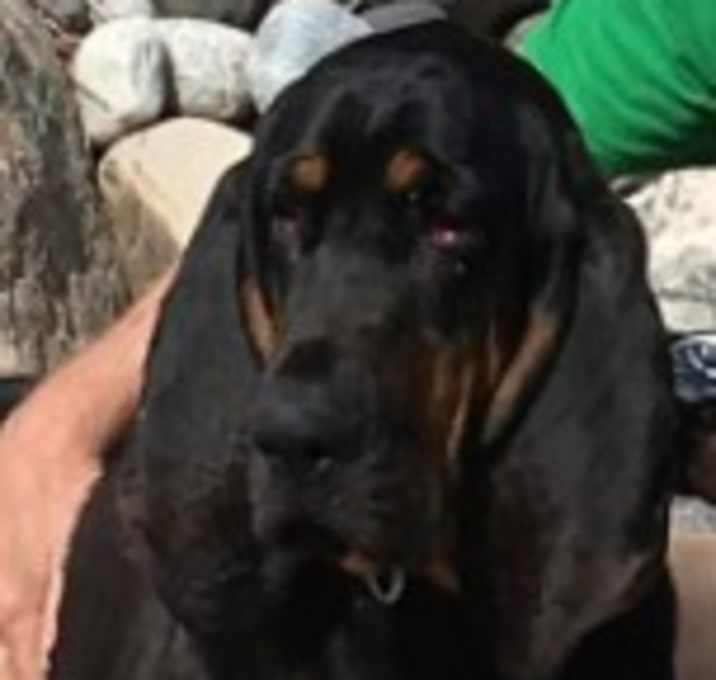 Photo of Gatsby