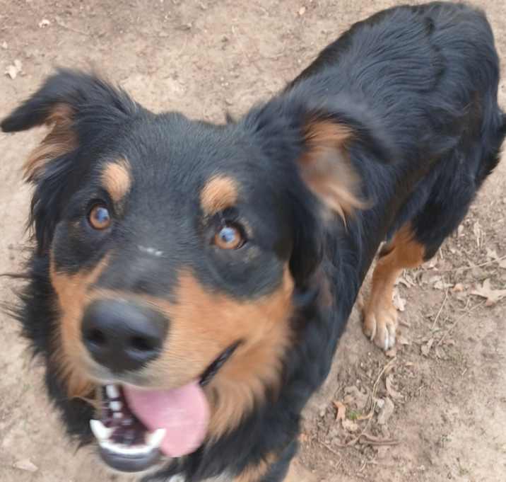Photo of BONITA