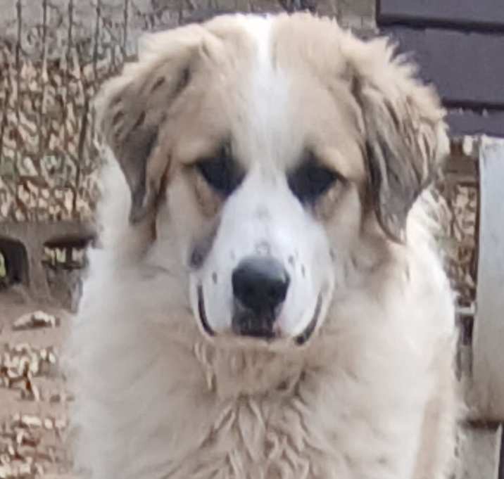 Photo of ATLAS