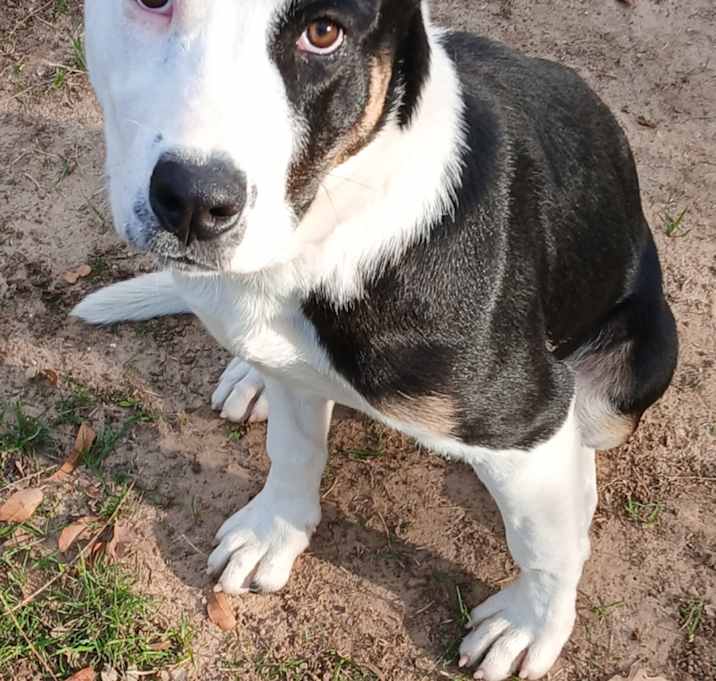 Photo of ROXIE