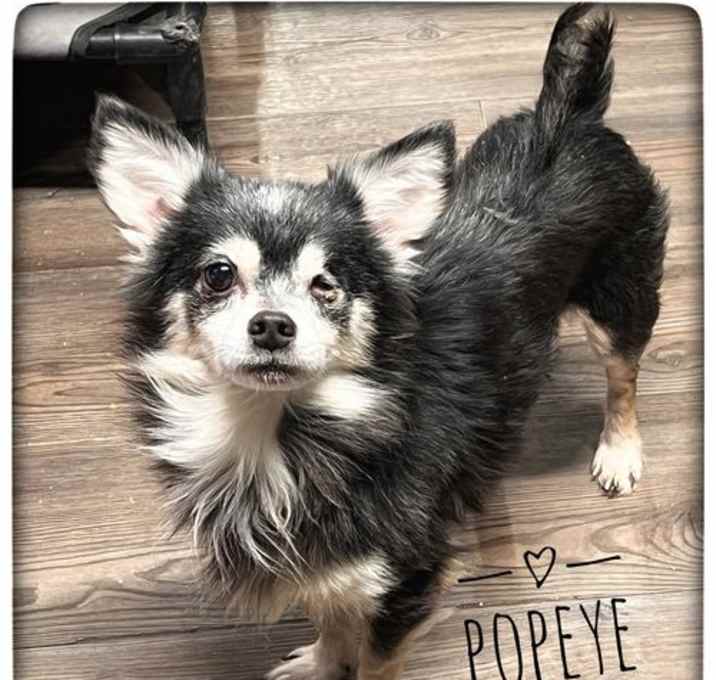 Photo of Popeye