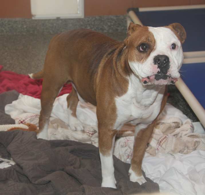 Photo of Steven (Photos 12/7/2024)