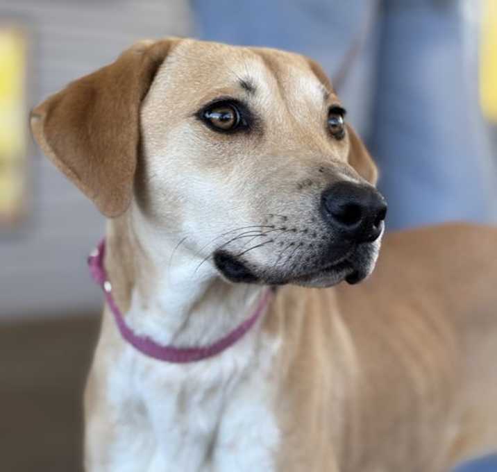 Photo of Mabel