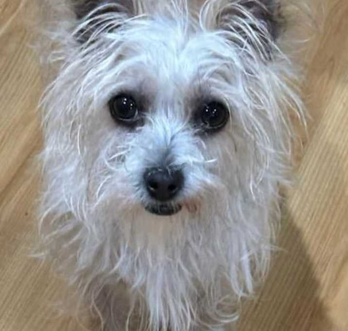Photo of Emily