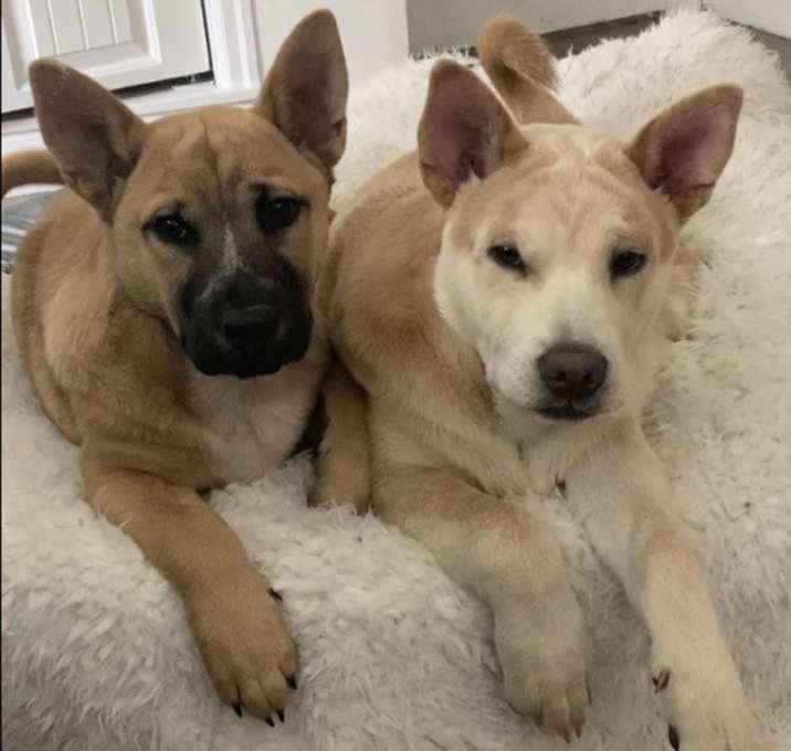 Photo of Ollie /Finn