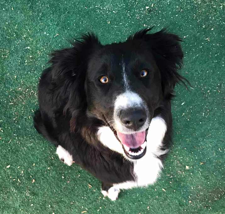 Photo of Lola