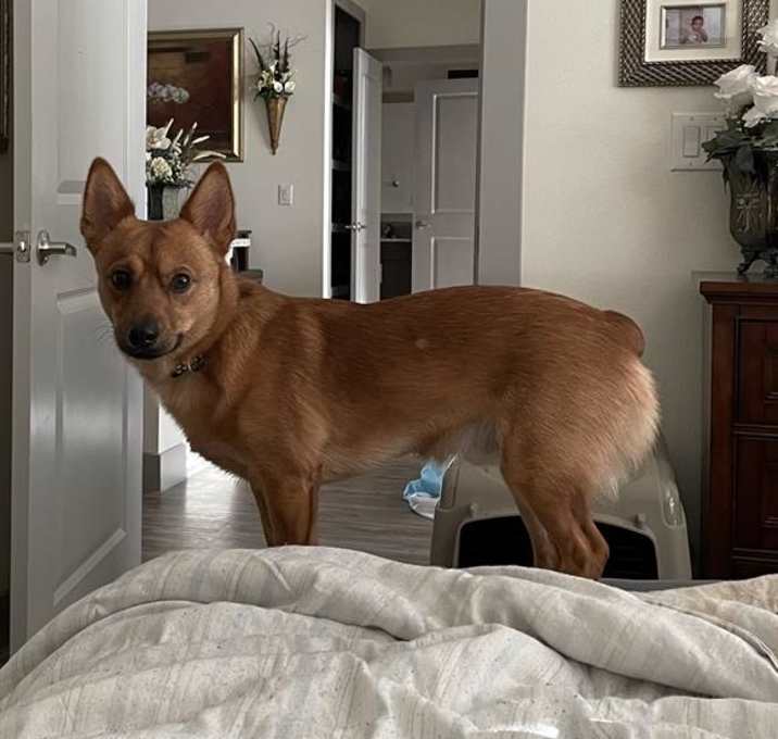 Photo of ZEUS
