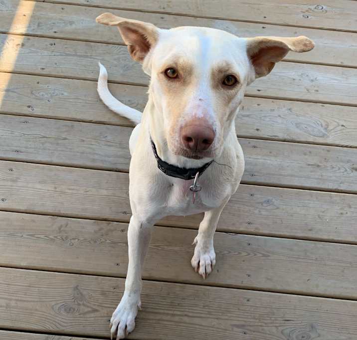 Photo of Bonnie
