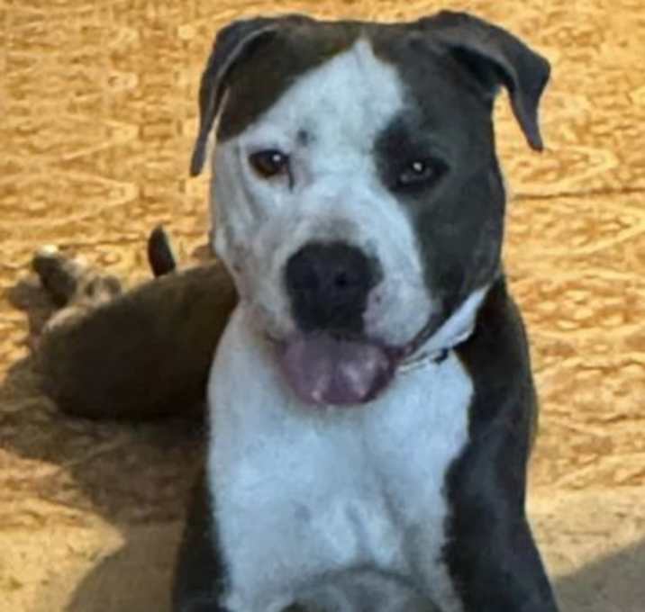 Photo of Dubby