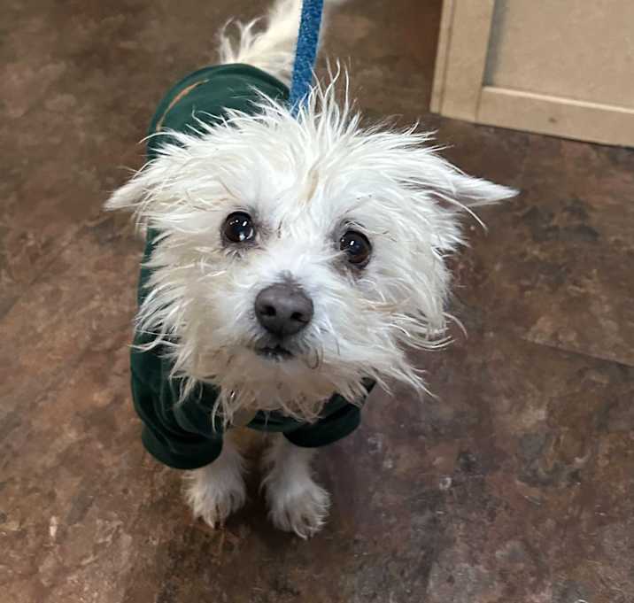 Photo of Manny