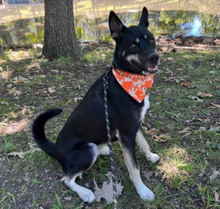 Photo of Tucker *CL*