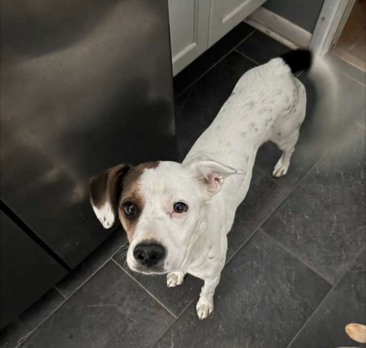 Photo of Zoe AKA Dottie