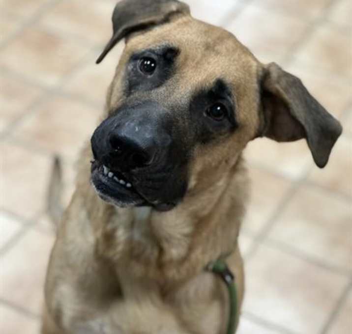 Photo of MAMBA