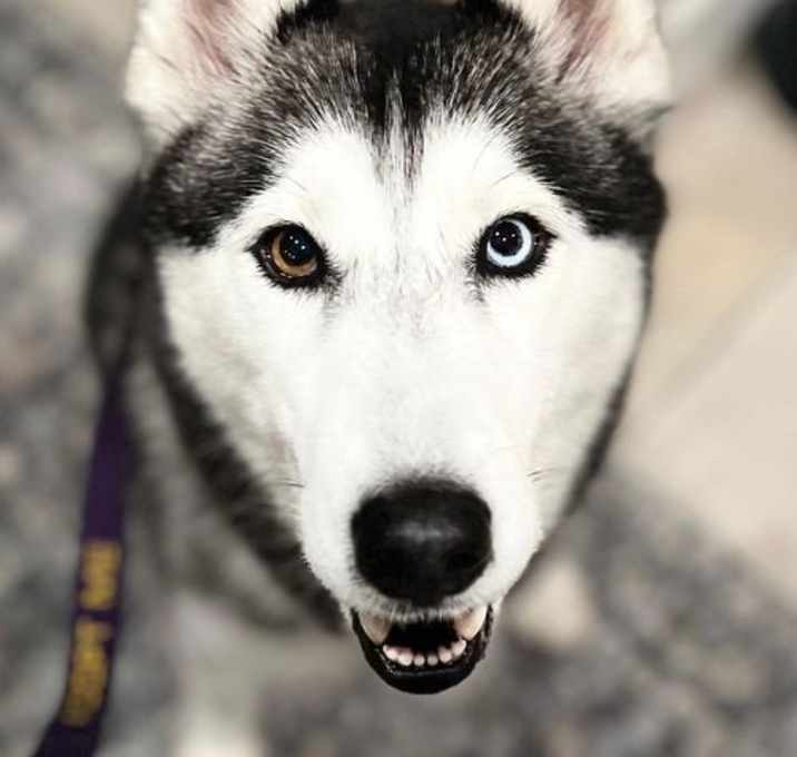 Photo of Lacie