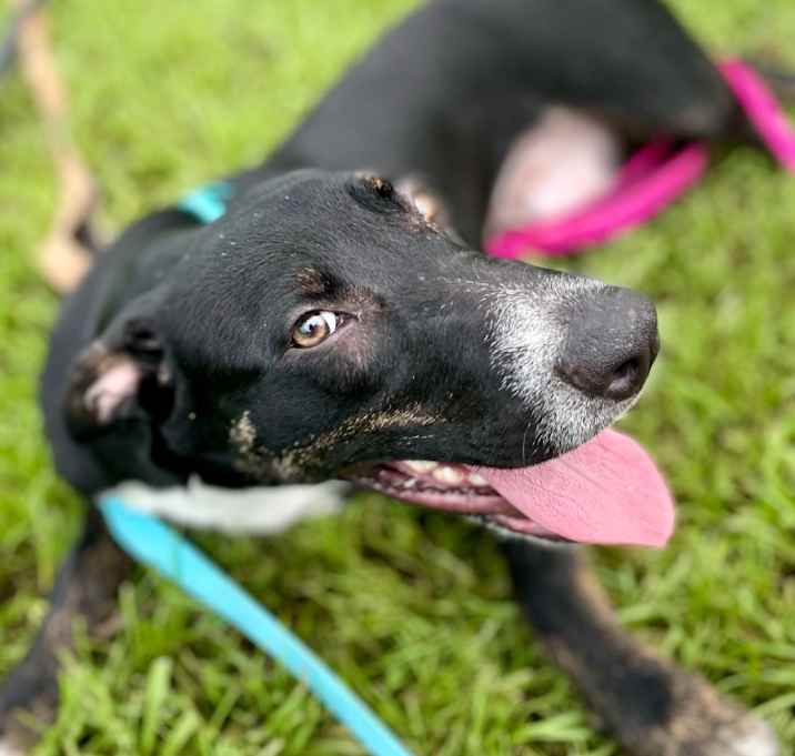 Photo of Evita