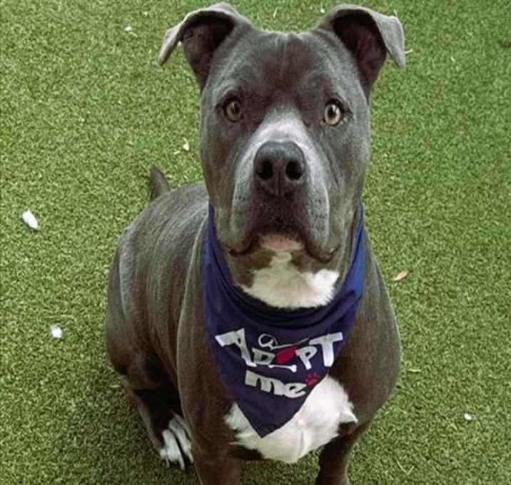 Photo of BO