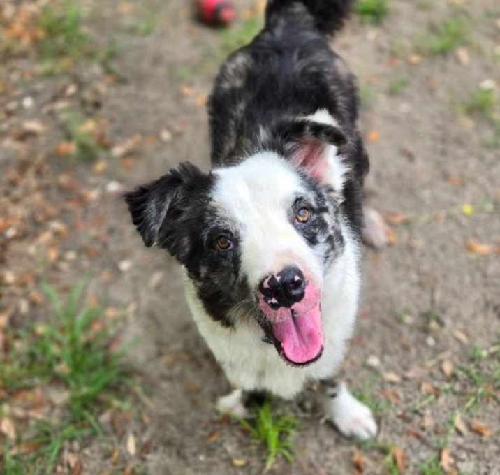Photo of Shep