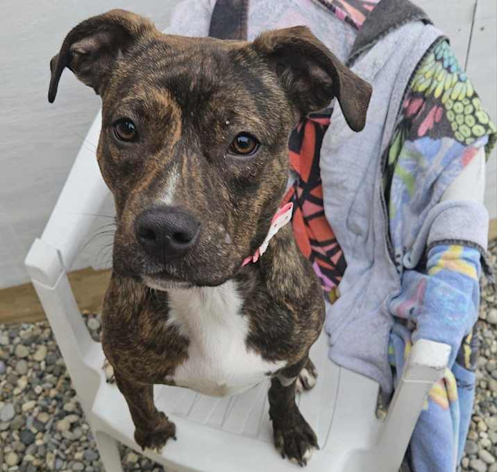 Photo of Elphie