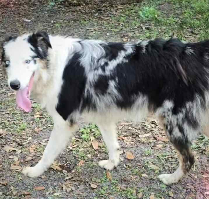 Photo of Seymour