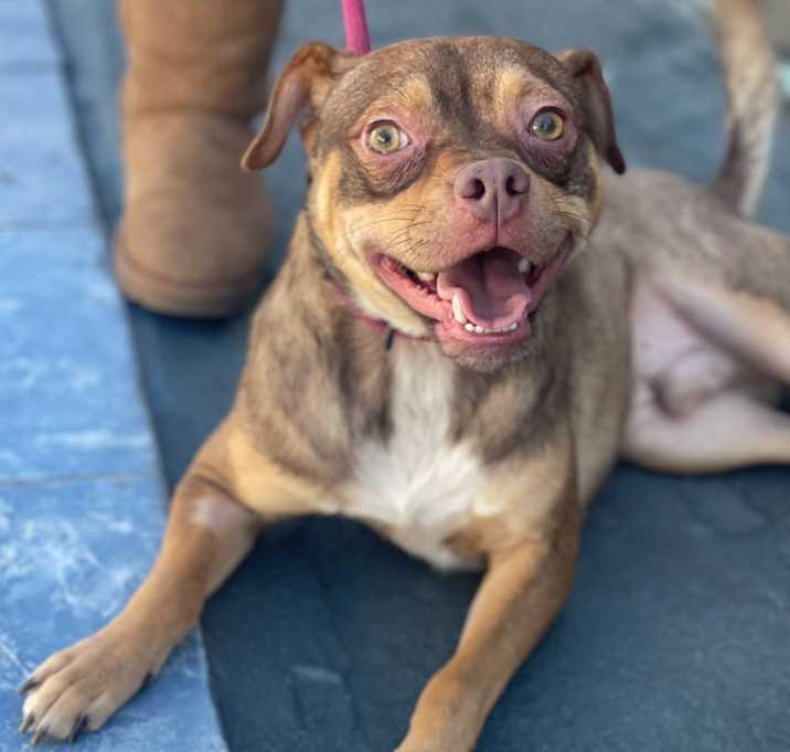 Photo of Rocky