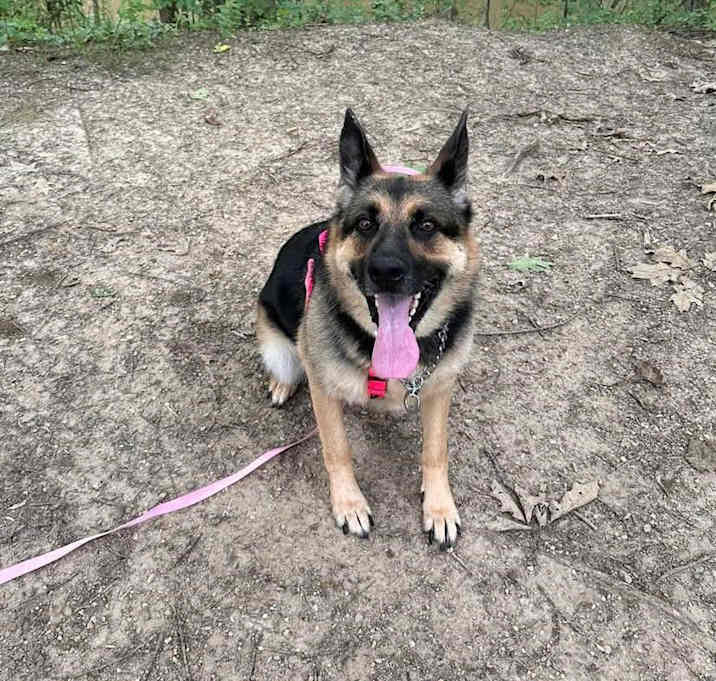 Photo of Luna