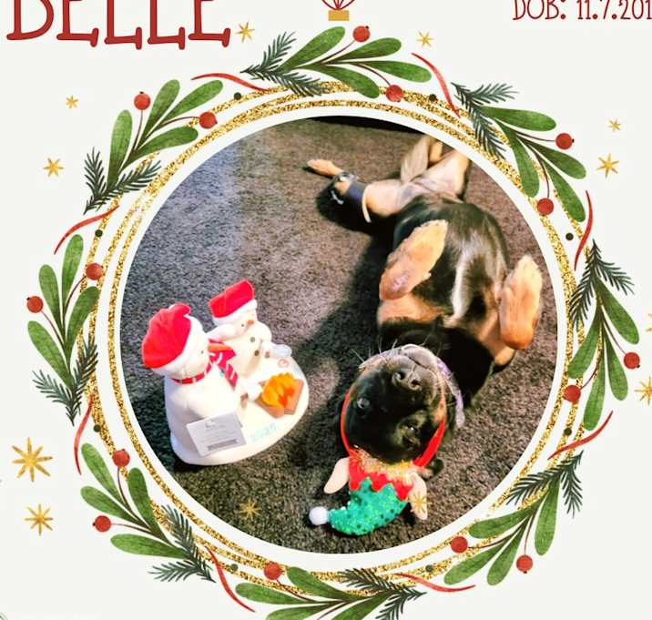 Photo of Belle (fka Beauty)