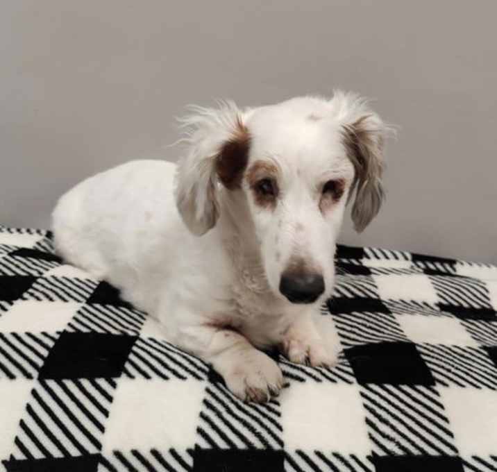 Photo of Squirt