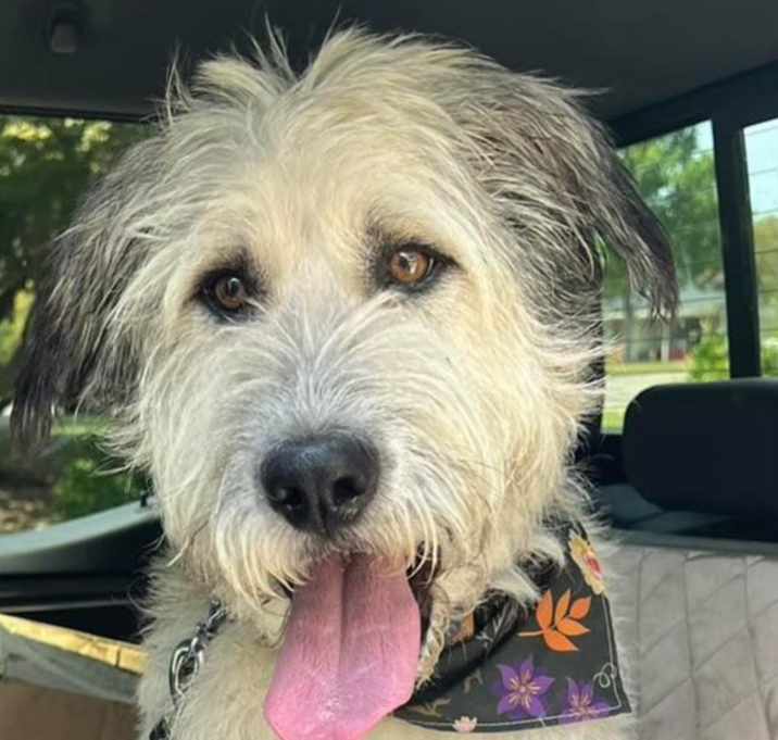 Photo of Gus