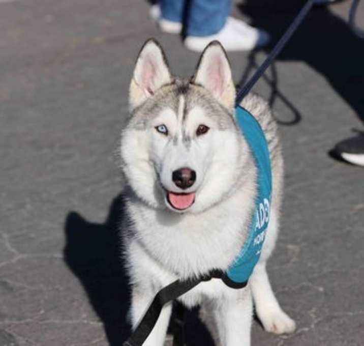 Photo of Ember
