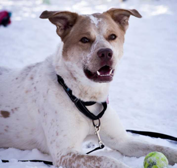 Photo of Zeus